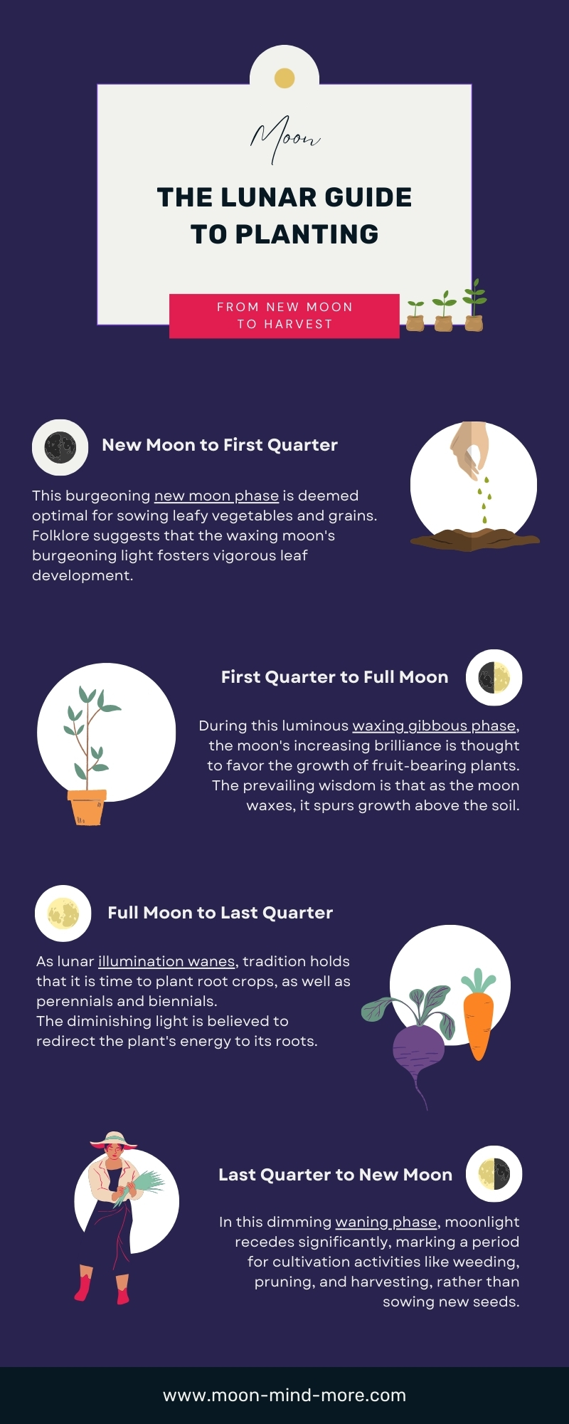 Infographic: lunar guide to planting